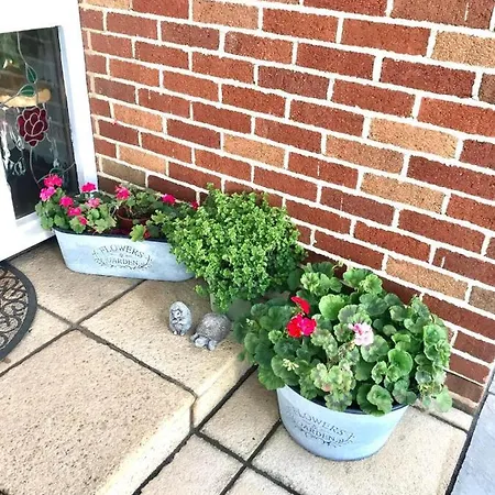 Konukevi Fox View 4*