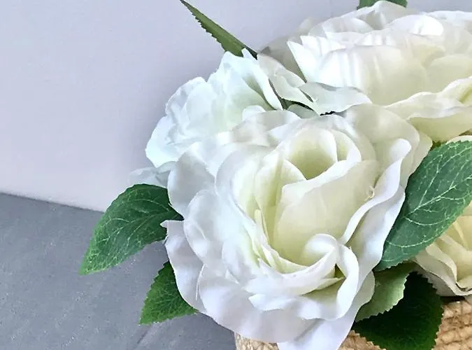 Πανσιόν Fox View 4*