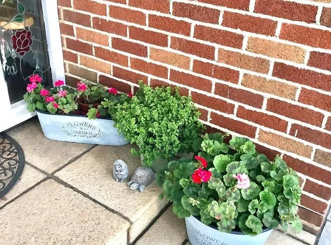 Πανσιόν Fox View 4*