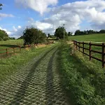 Fox View 4*