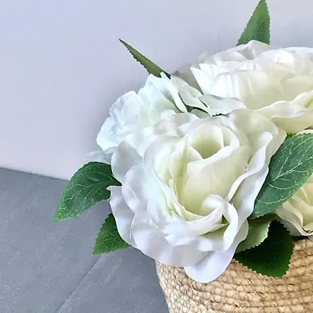 בית הארחה Fox View 4*