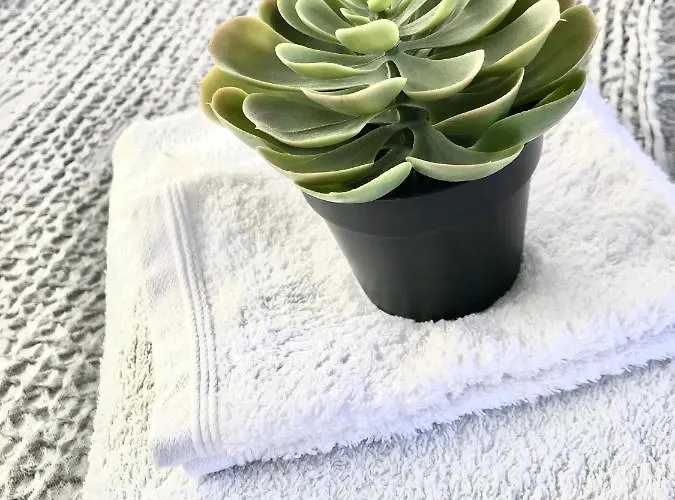 Fox View Гостевой дом Бристоль