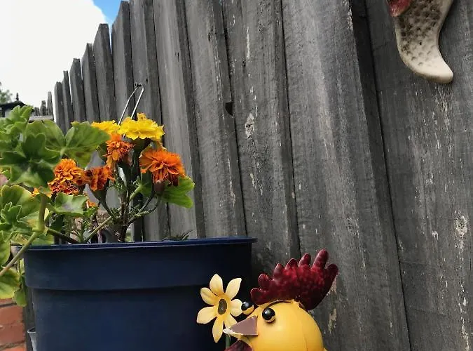 Гостевой дом Fox View